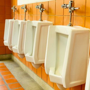 Environmentally Friendly Bathrooms