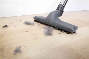 Everything You Should Know About Dust